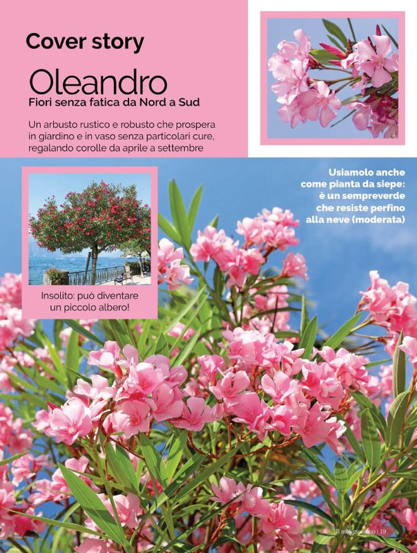 Il Mio Giar Lug-Ago 2021 (6)