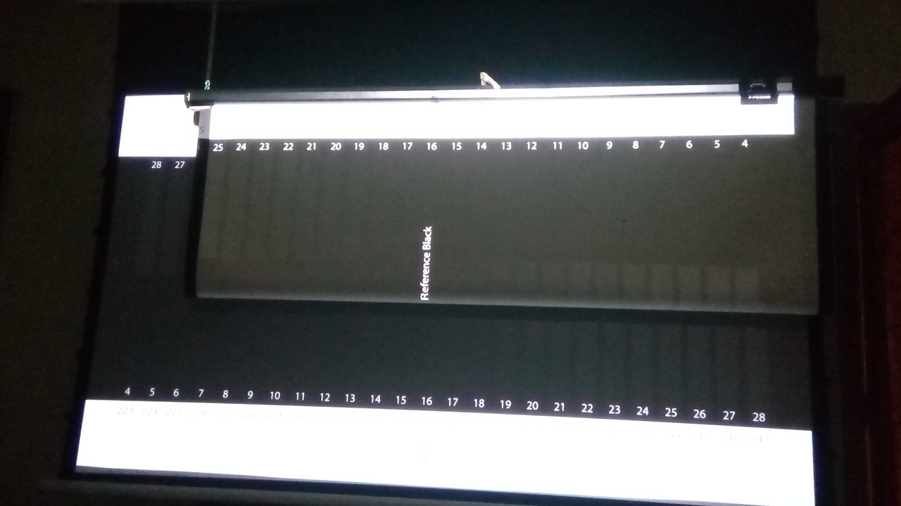 BlancaVsGrisTension (3)