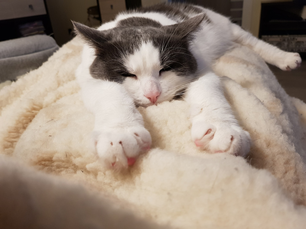20190205-165709.jpg