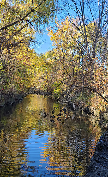 [Image: 20221109-143533.jpg]