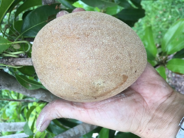 690800FD-7D75-4CE2-B384-CF8B50B85BD3