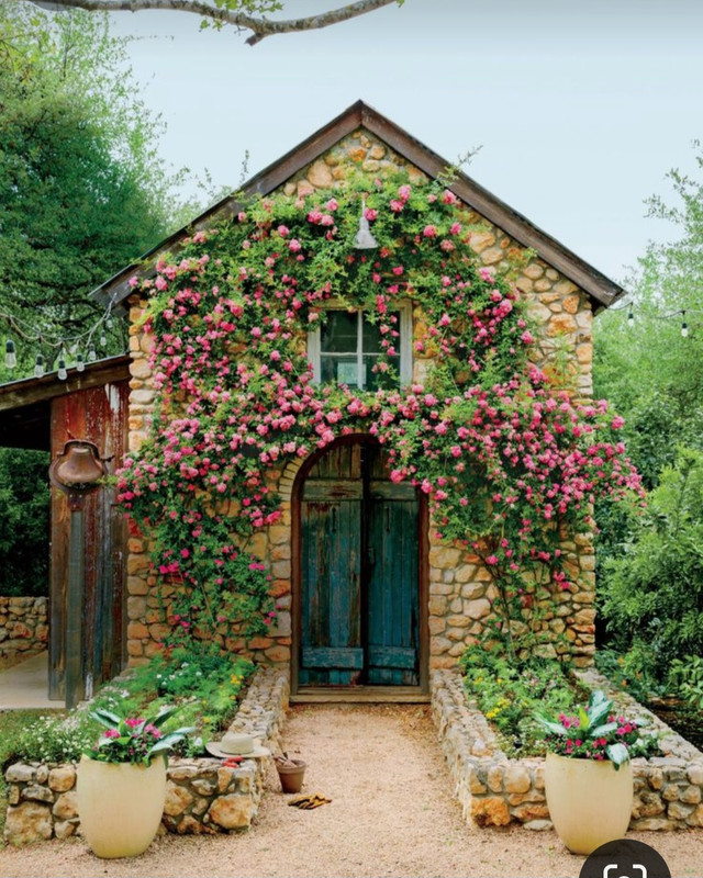 Screenshot_20230906_003951_Pinterest