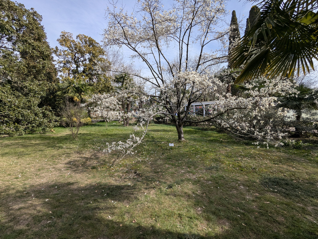 PXL_20250316_072854870