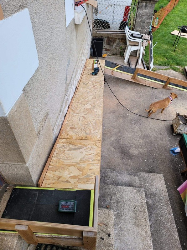 [Image: 6-DA63711-188-C-4-DDF-807-D-AEE52-A3-E764-D.jpg]