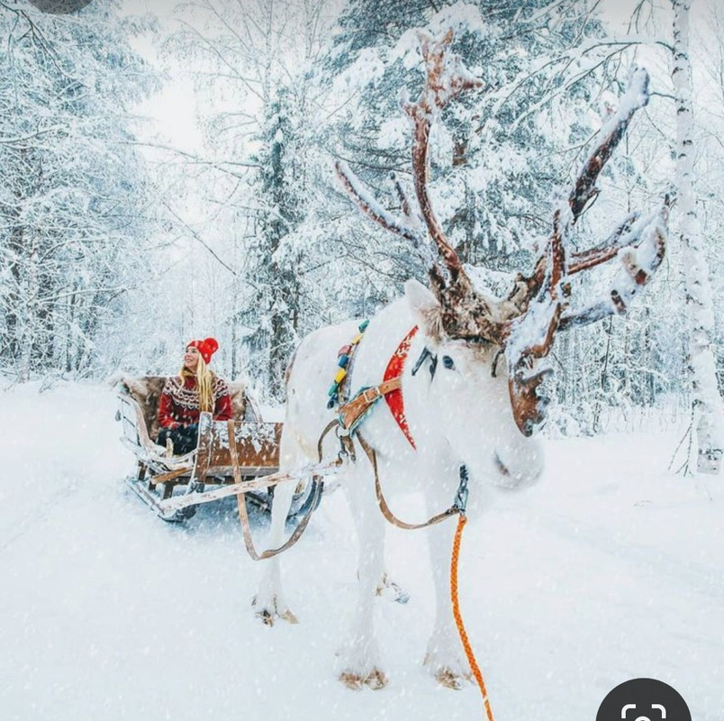 Screenshot_20240108_212741_Pinterest