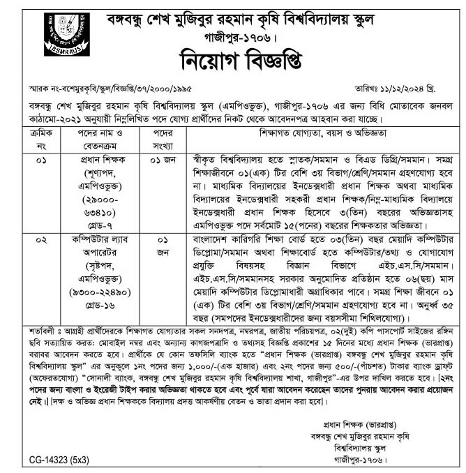 BSMRAUS-Job-Circular-2024