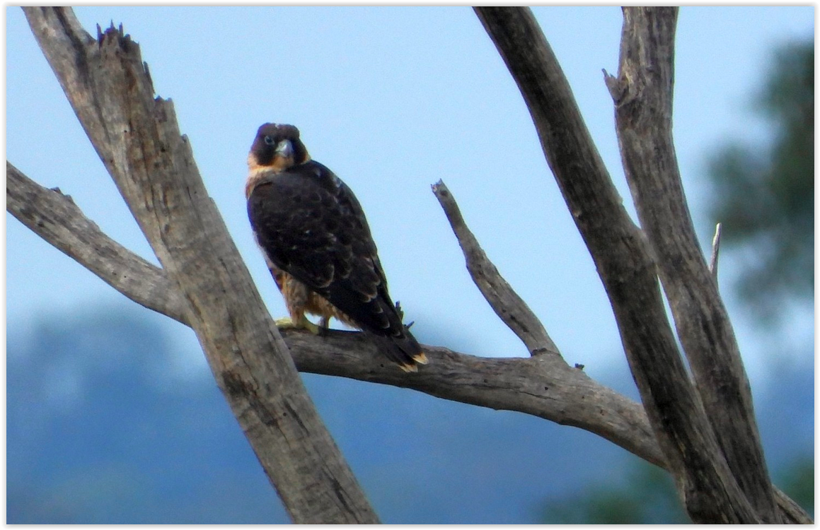 Screen Shot 12 21 25 at 09 58 AM