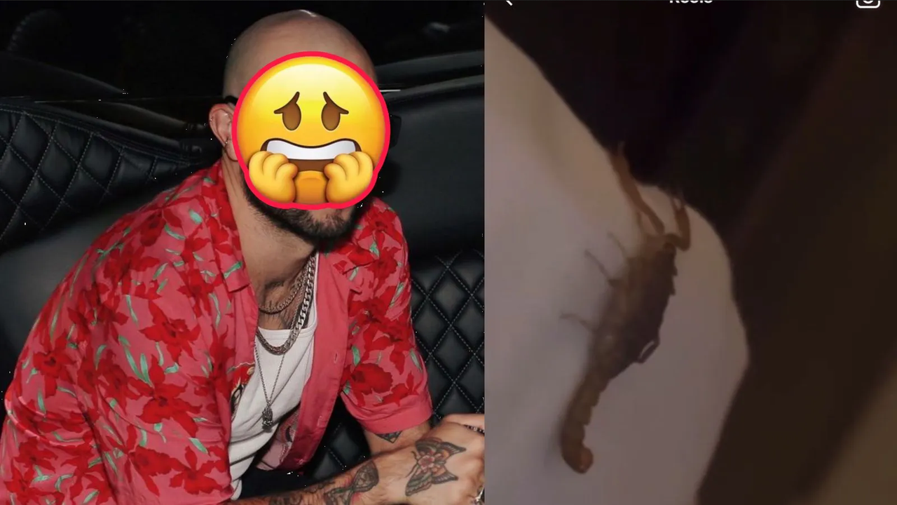 Famoso actor encuentra ratones y alacranes en el hotel que se hospedó