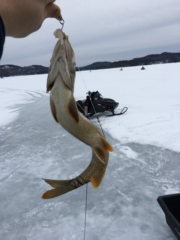 5D58D9A0-156A-475B-AD98-D47A5B7B2245