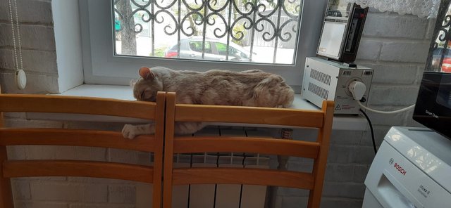 WhatsApp Image 2022-05-07 at 11.47.47 (1)