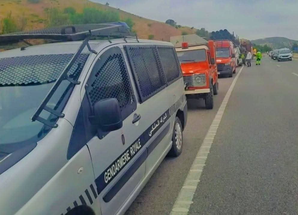 494829032-1234691671385267-2674140694115084126-n