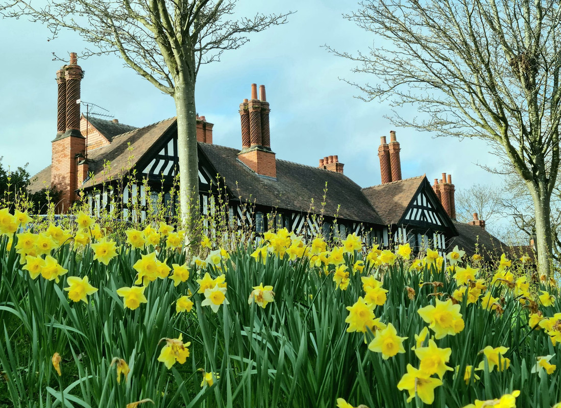 433541432-927839199350501-4235772401043365472-n