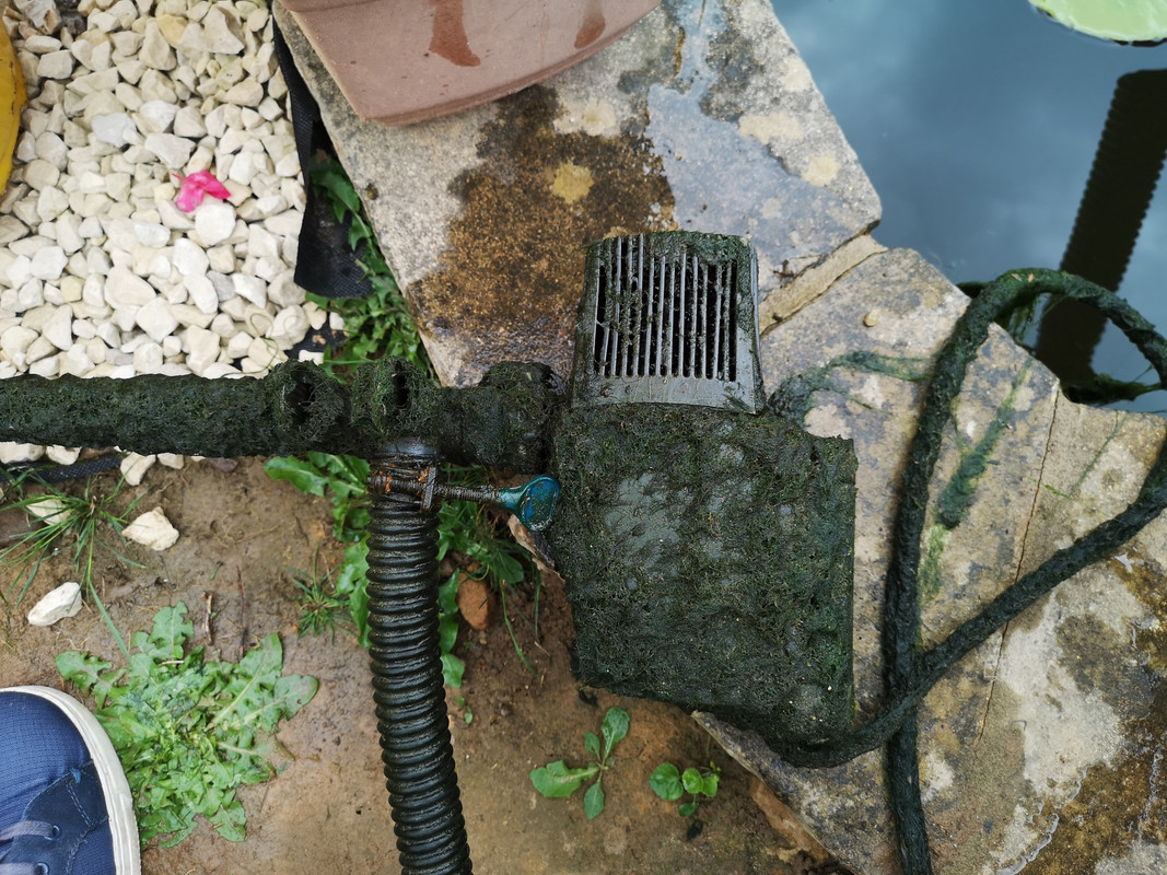 Pump clogging up Pond Equipment Forum Pond Life