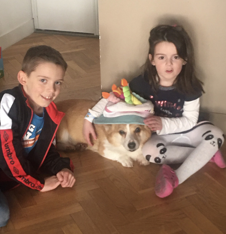 [Image: 3-CE6046-E-5336-4-BA2-9648-516147849-D9-C.jpg]