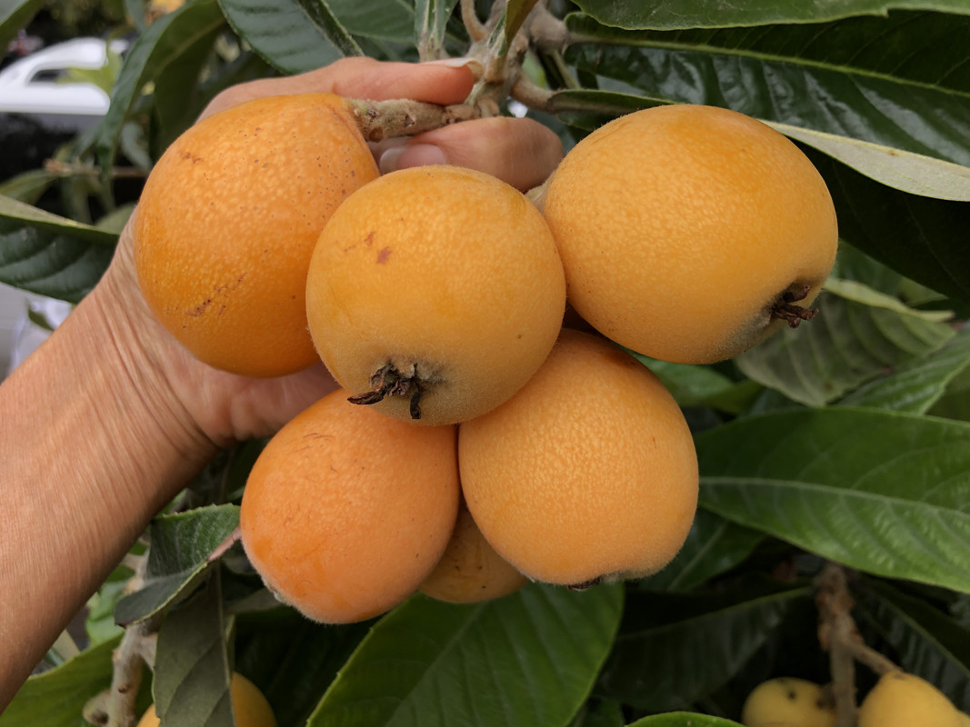 36EBFEAE-A7C2-46F1-A1BE-12A4F1157F6A