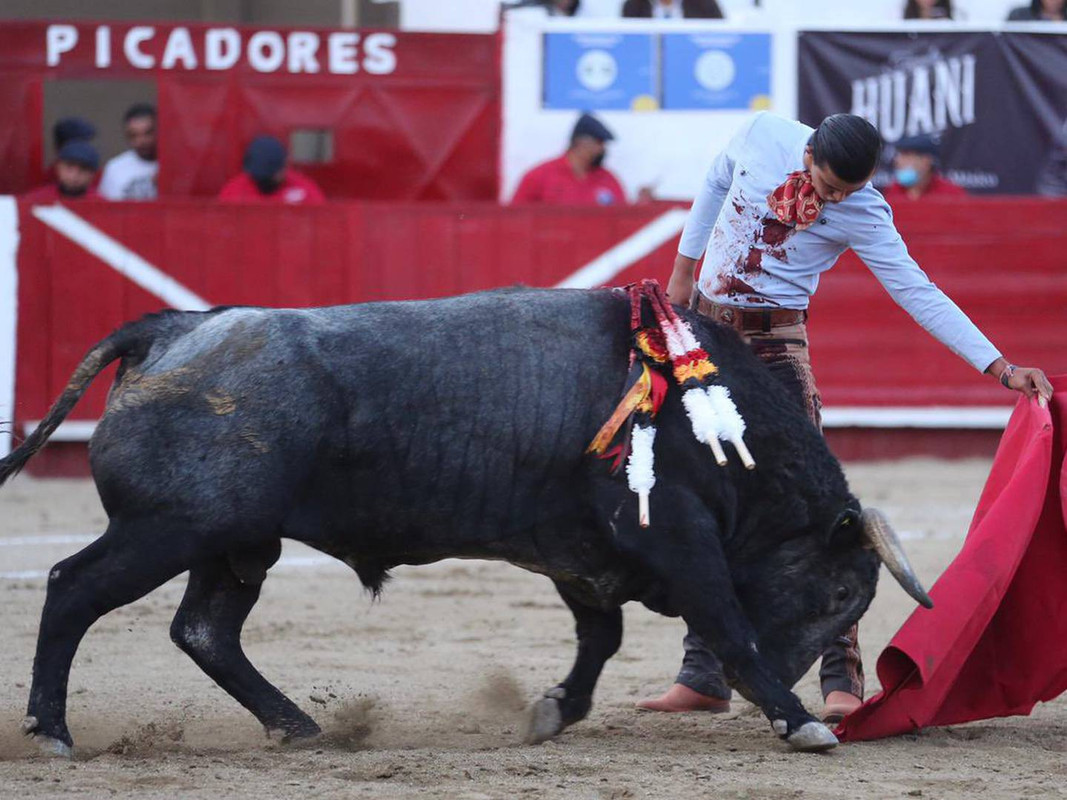 En Guanajuato acribillan brutalmente a hombre, frente a su esposa e hijo