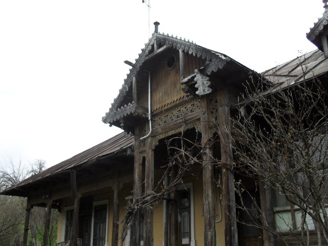 Încercările unui fotograf amator SDC10199