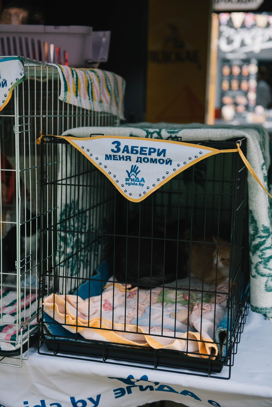 EB09E59E-B666-49DB-B1A8-E19A582DAF4A