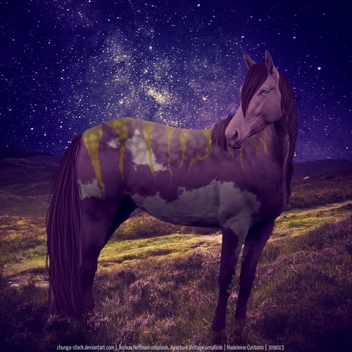 9F2F3139-19D3-43DC-BEEF-AAA13D2CD41A