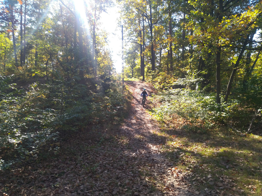 IMG-20211009-124357-1.jpg