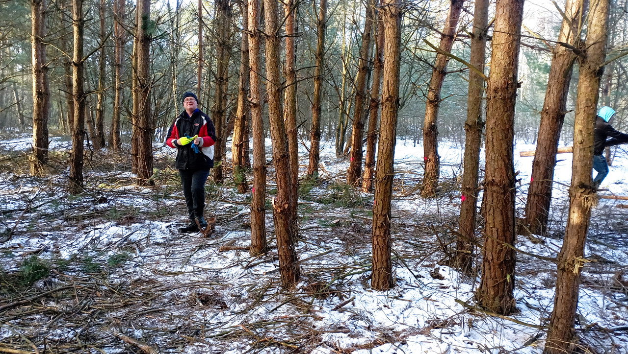 [Obrazek: IMG-20260105-111655.jpg]