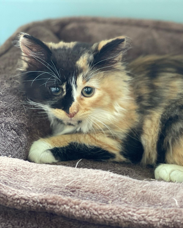 24F1F32C-DC85-46E9-8B70-C6680B96935C