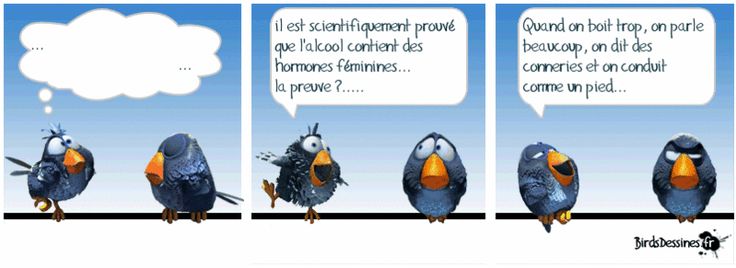 [JEUDI] - Les Birds - Page 6 2023-06-22-b-01