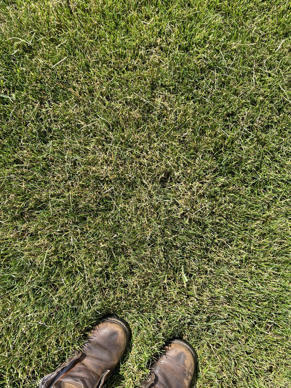 IMG 0847 — Postimages