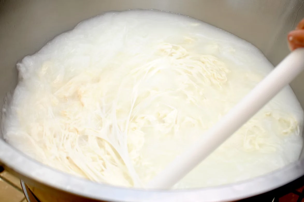 processo de preparo do queijo caseiro