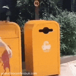 https://i.postimg.cc/rwbbJxJ5/9.gif