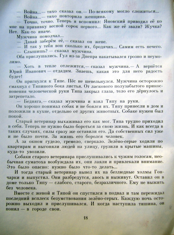 IMG-5011