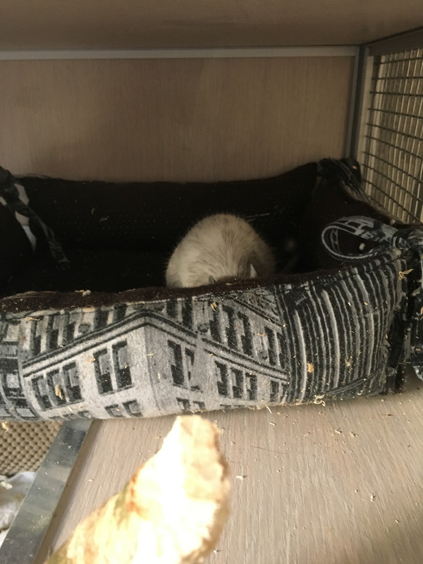 9655A6ED-B794-4C69-A108-2BBFAAD1C0FA