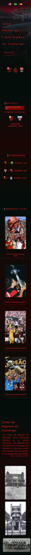 flamengo-concept-website-full-mobile