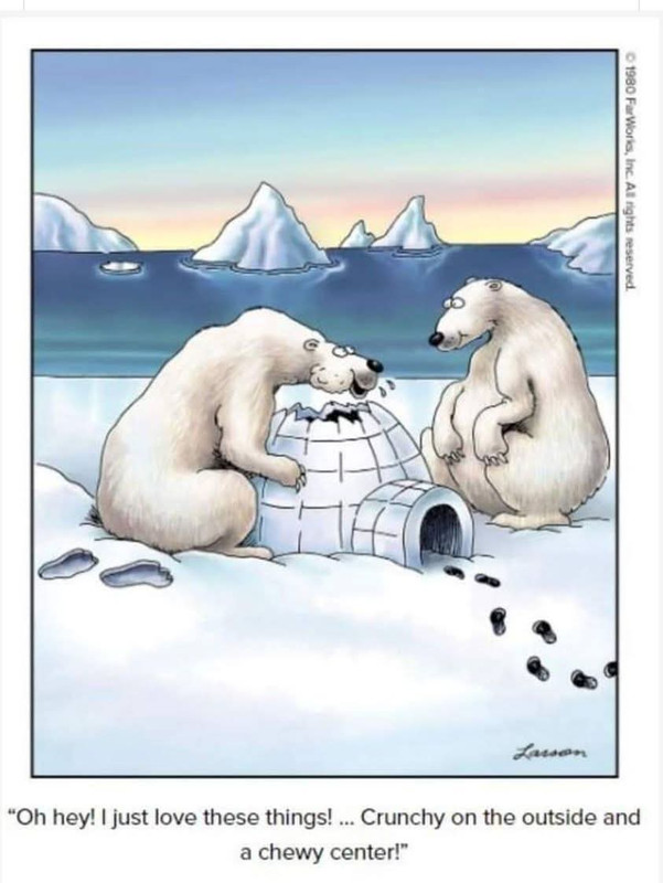 FB IMG 1769929288832