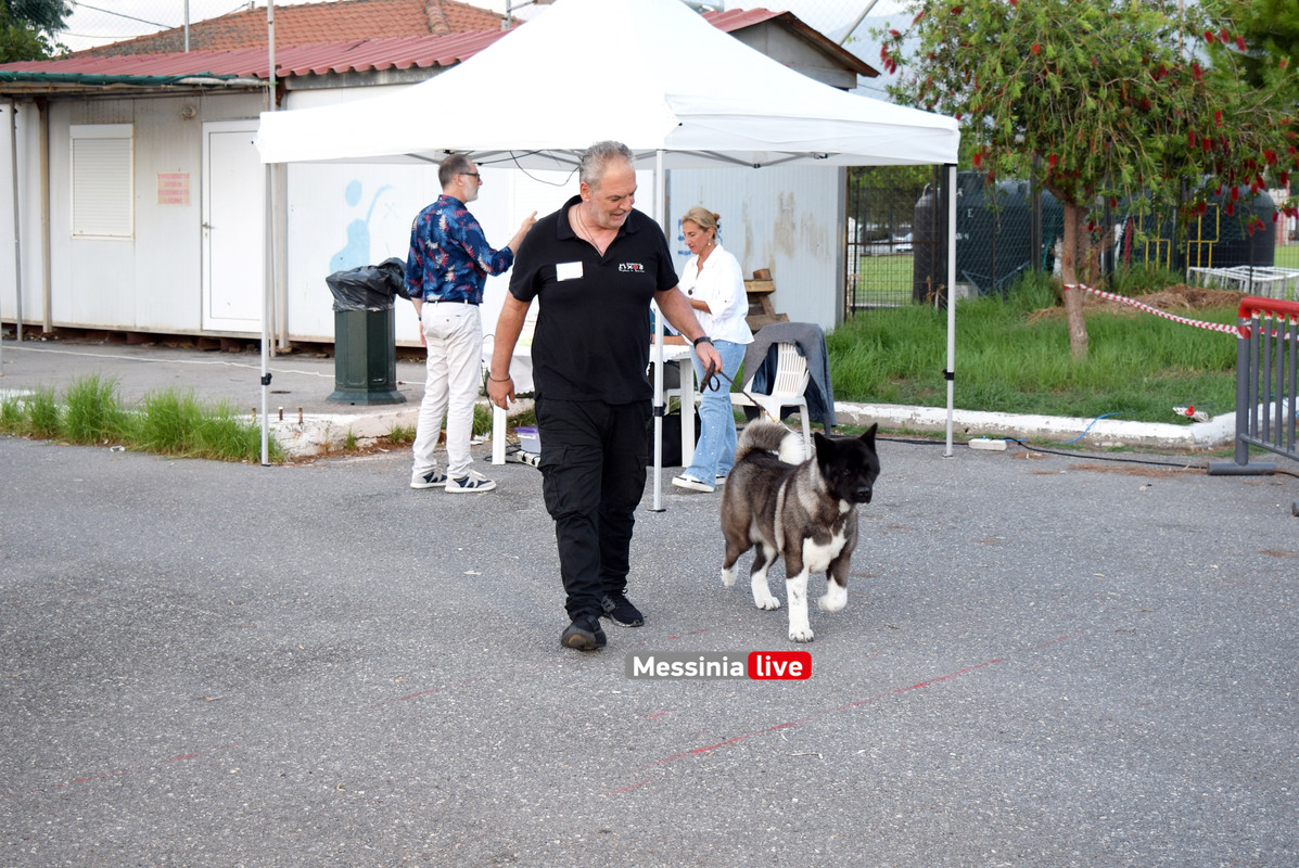 παρκο σκυλιαDSC_0957