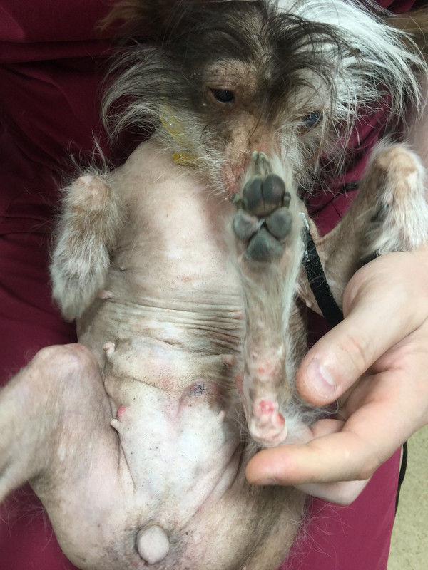 CC01AE47-125B-4692-AA5C-EE7769C887F8