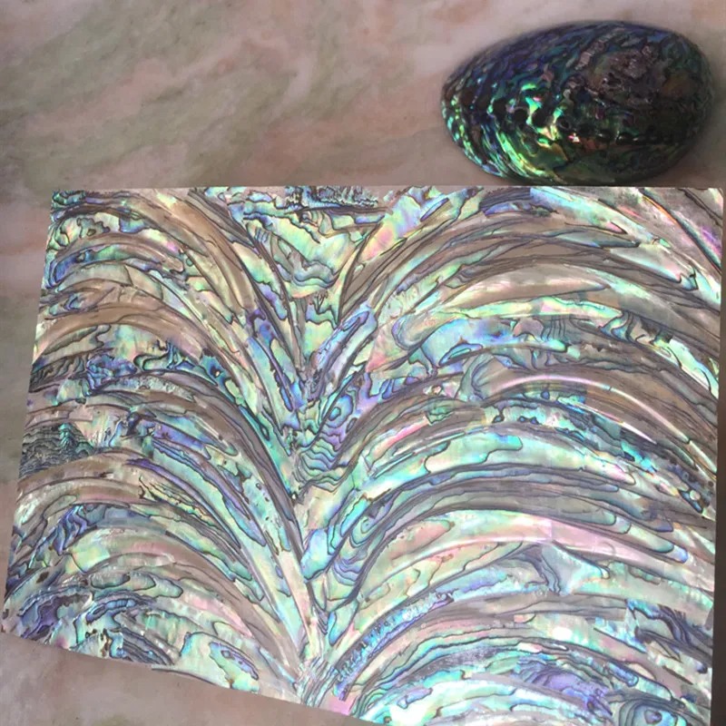 Abalone Shell Sheets Close-up