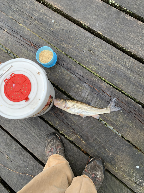 5416CF3C-0D88-42CA-876B-14EA0310104F