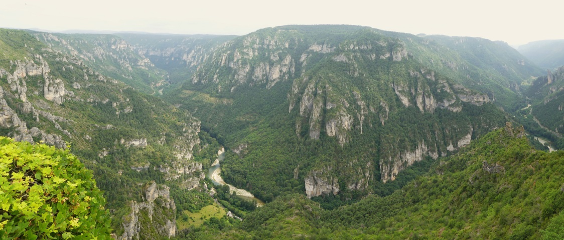 P1090188.jpg