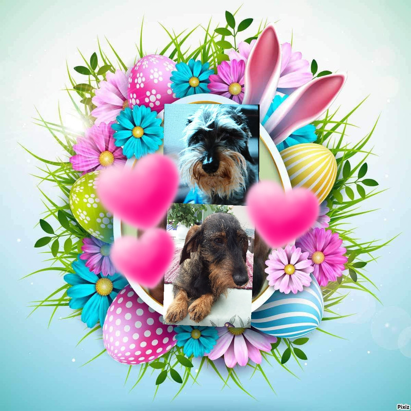 [Image: 20240325-145600.jpg]