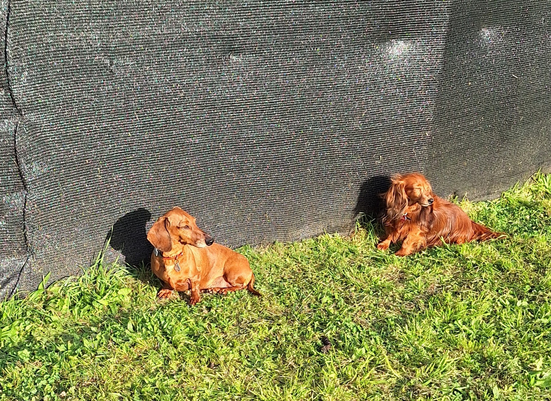 [Image: 20231005-172106.jpg]