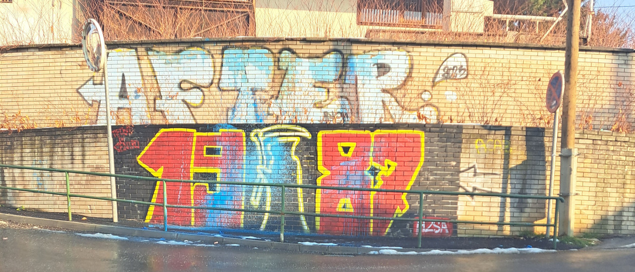 slika