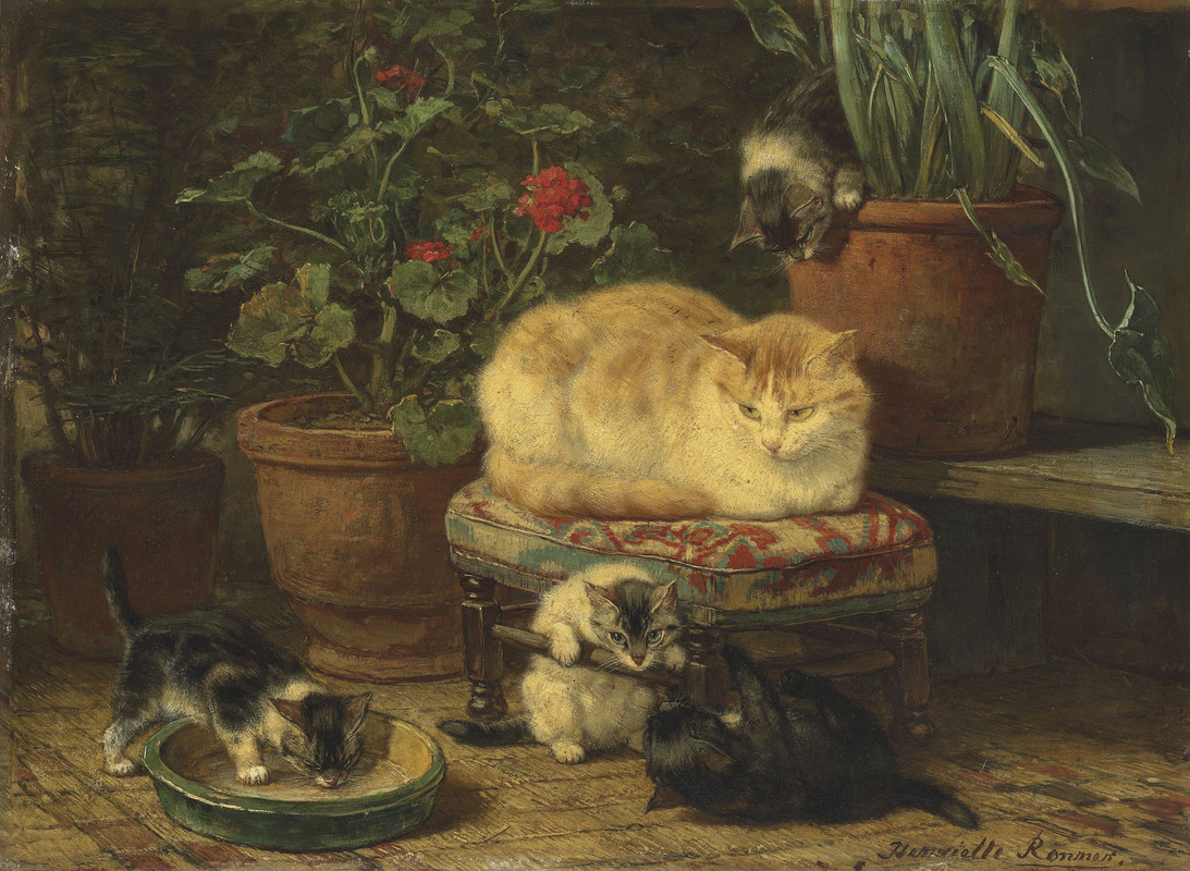 2019_CKS_17201_0251_000(henriette_ronner-knip_kittens_at_play)