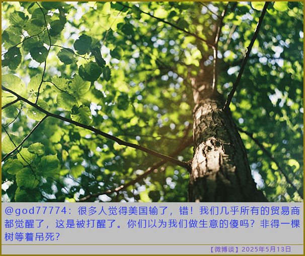 https://i.postimg.cc/rwdRzQrr/20250513-bt-2.jpg