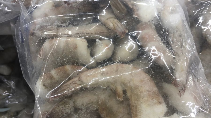 udang segar atau tidak (5)