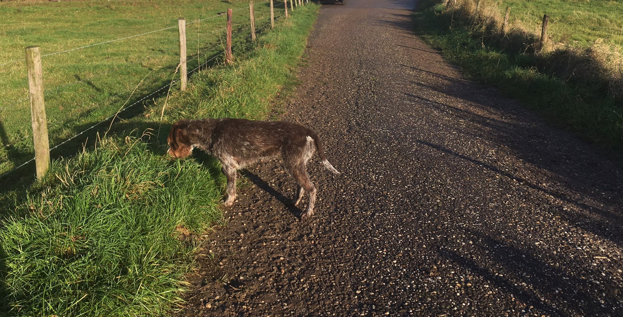 2024-07-10 Muis IMG_4222 (002)