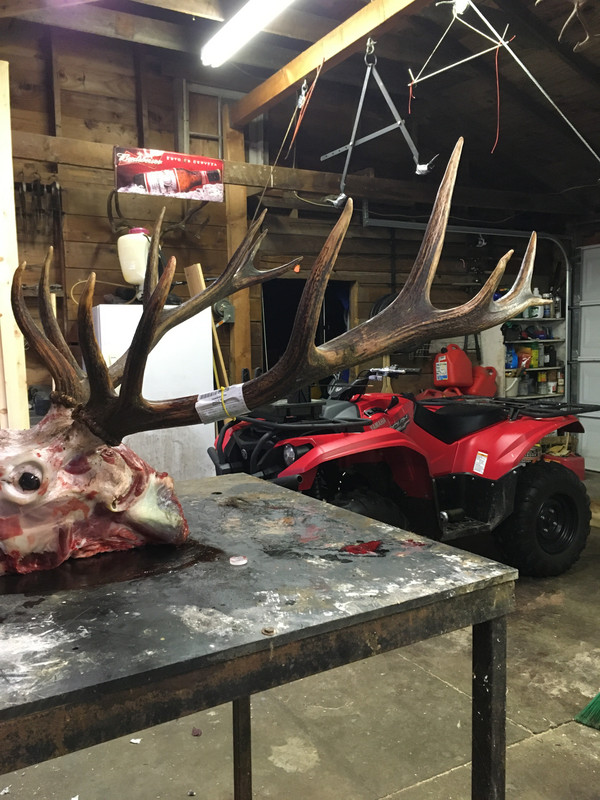 A3FAAE61-5553-4DE0-8E71-416FD1D71334