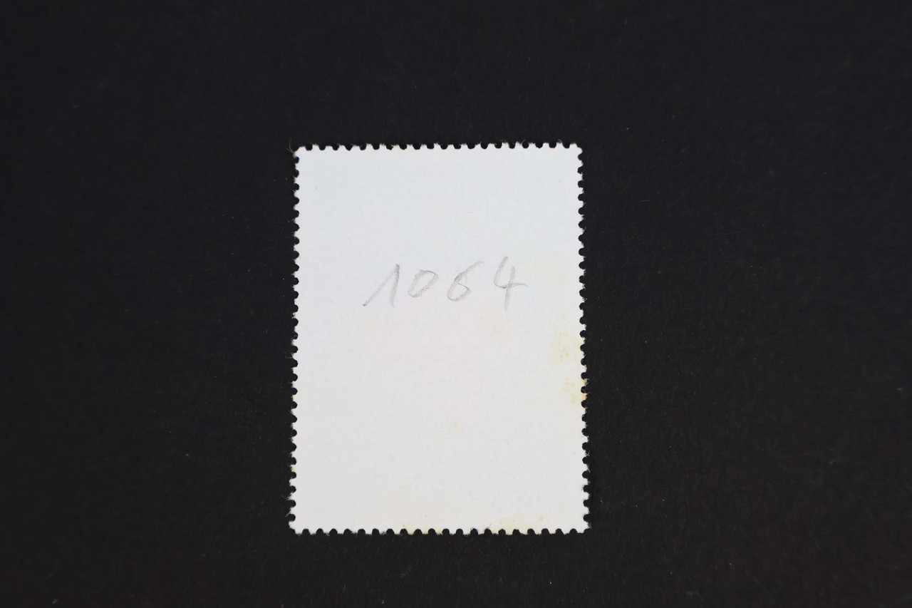 IMG 3633