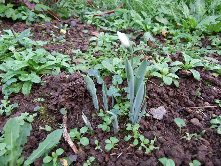 DSCF7250small