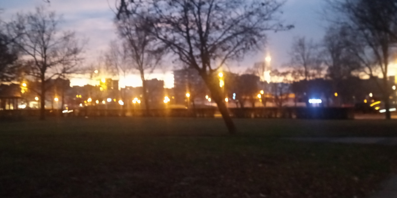 Kép